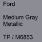 Preview: Ford, Medium Gray Metallic, TP / M6853.